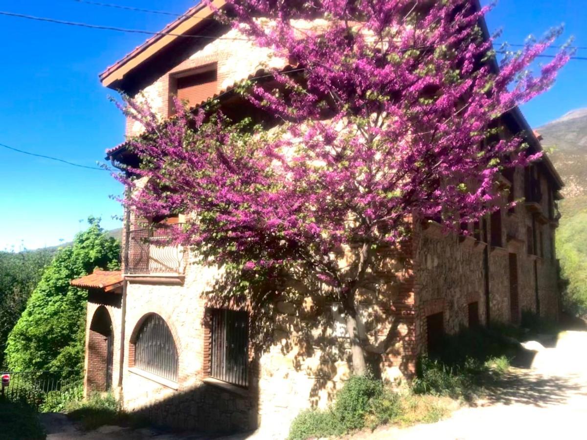 Apartamento La Almazara Del Guijo Guijo de Santa Bárbara Exterior foto